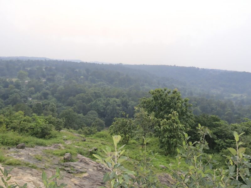 Mayur pahar 1